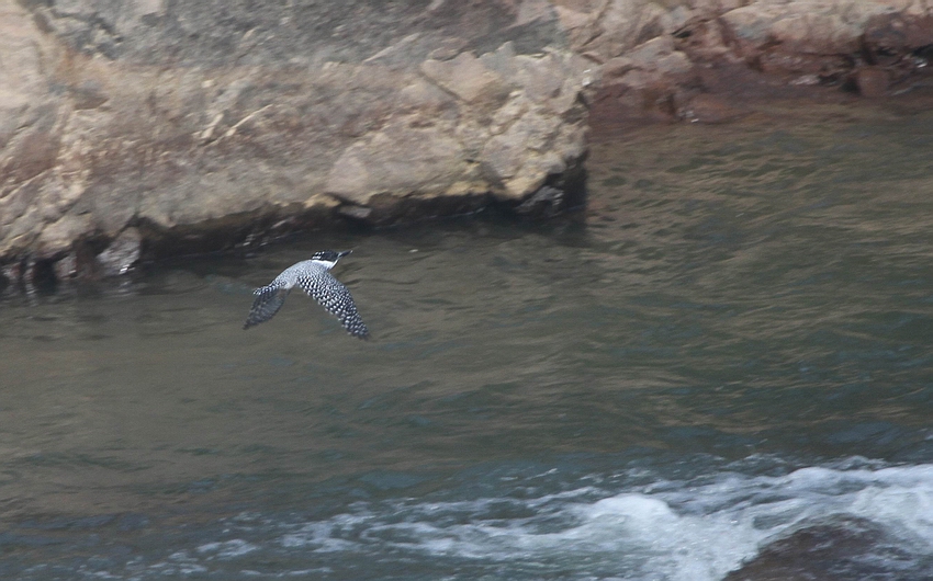 IMG_9044.jpg