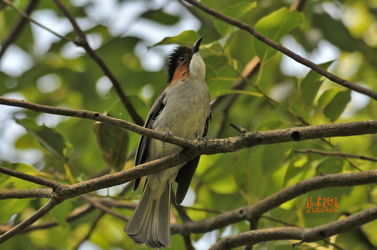 DSC_1376.jpg