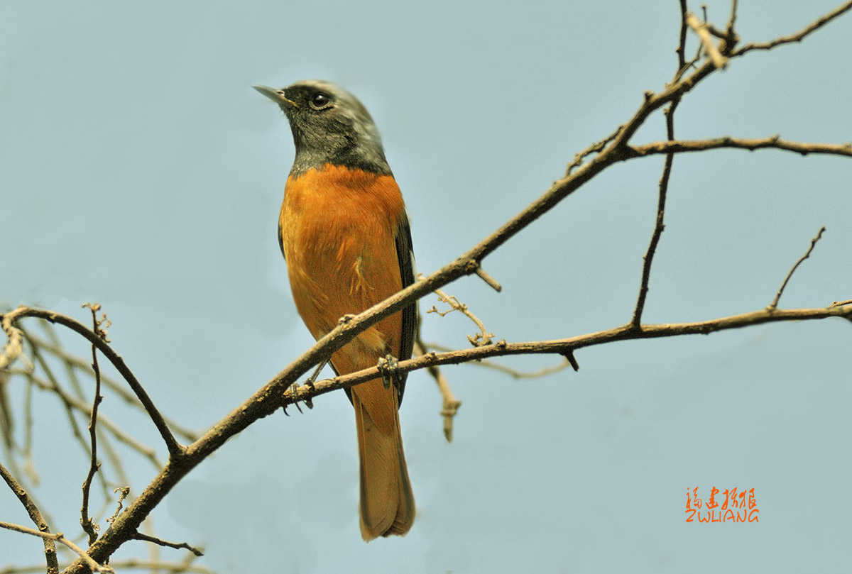DSC_1504.jpg