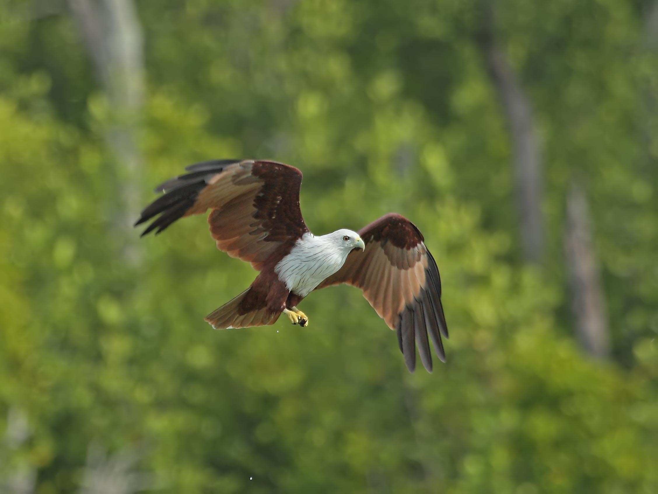 DPP_05930-1.jpg