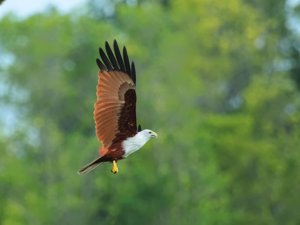 DPP_05920-3.jpg