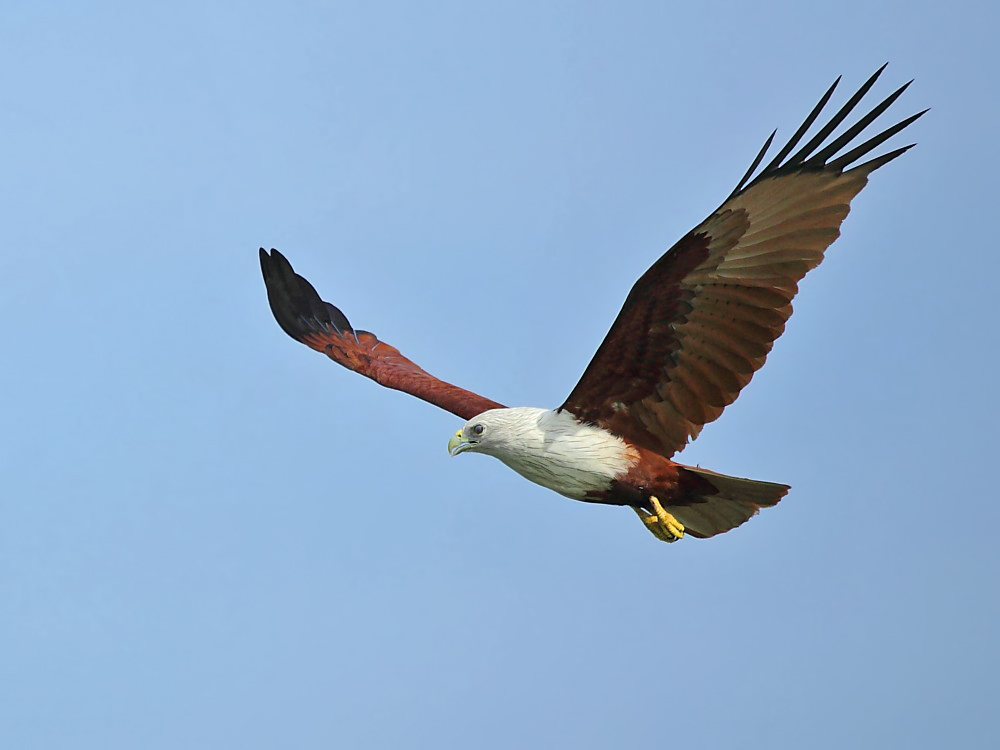 DPP_05916-2.jpg