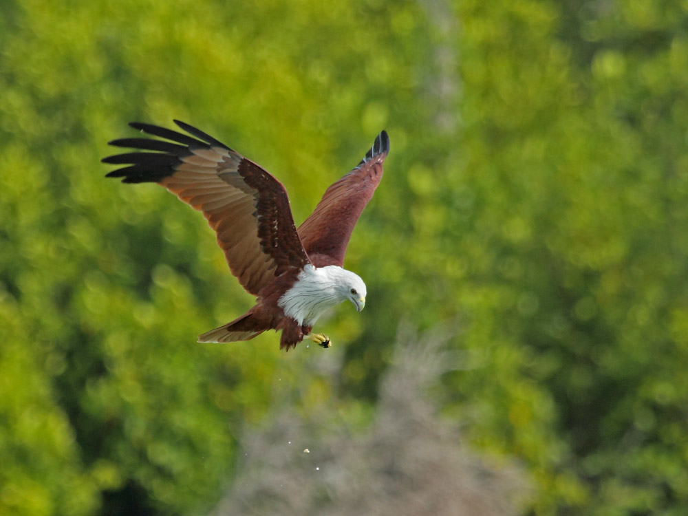 DPP_05932-1.jpg