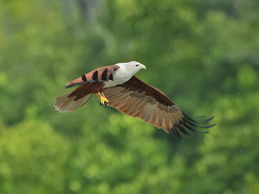DPP_05919-1.jpg
