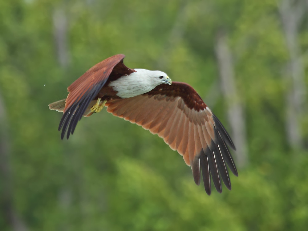DPP_05936-1.jpg