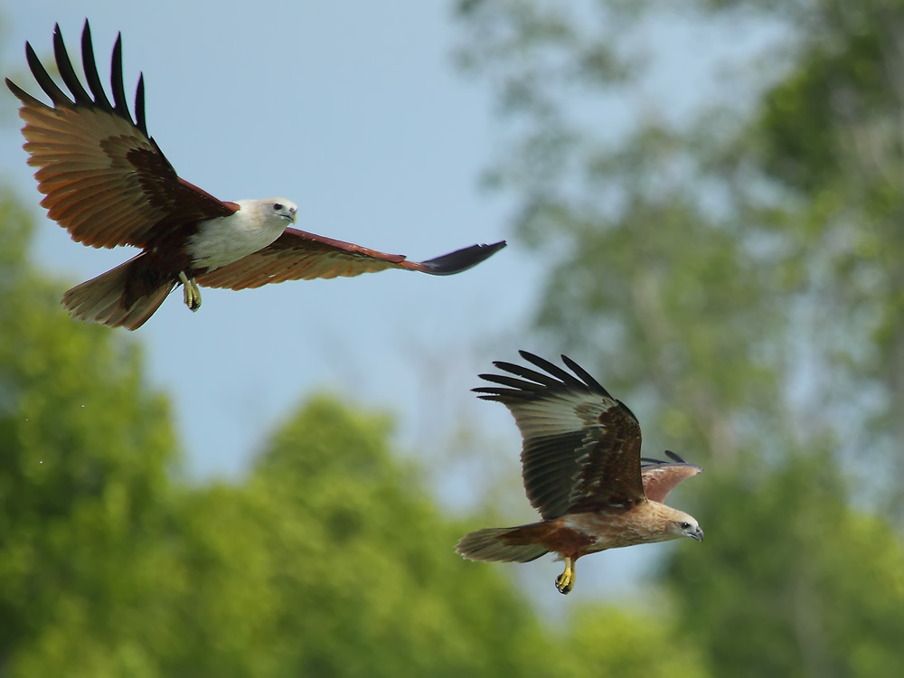 DPP_05931-1.jpg