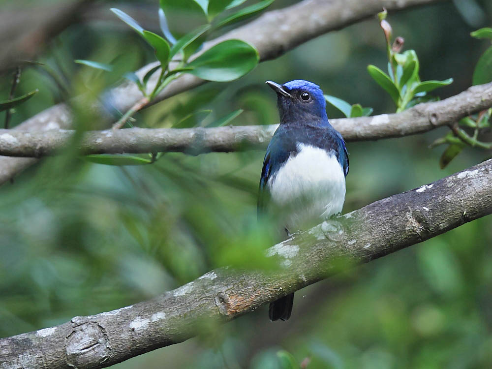 DPP_05939.JPG