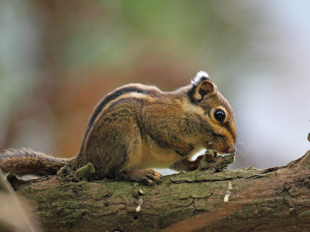 DPP_05954-1.jpg