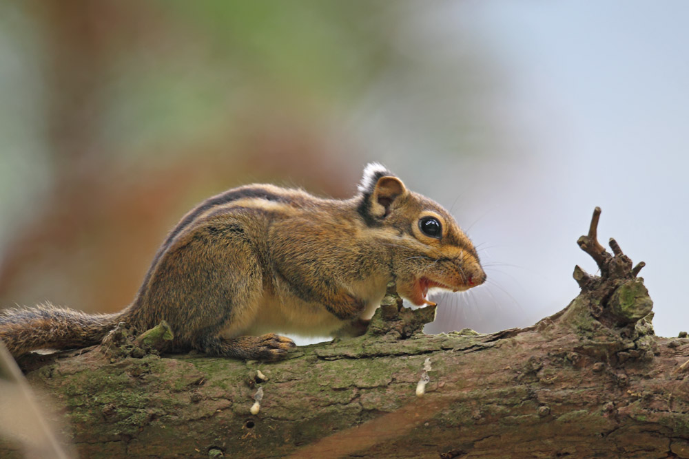 DPP_05948-1.jpg