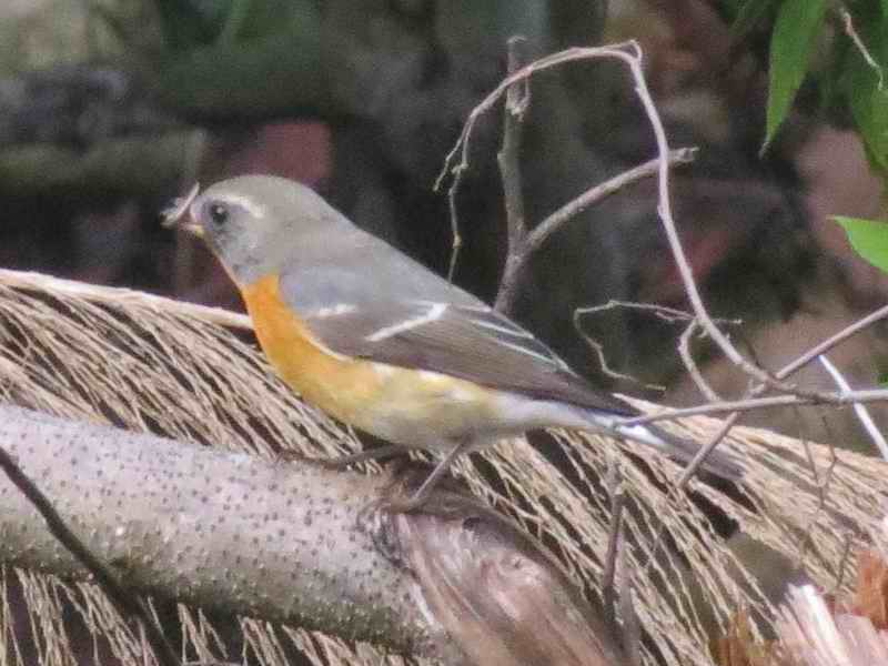 IMG_3994.jpg