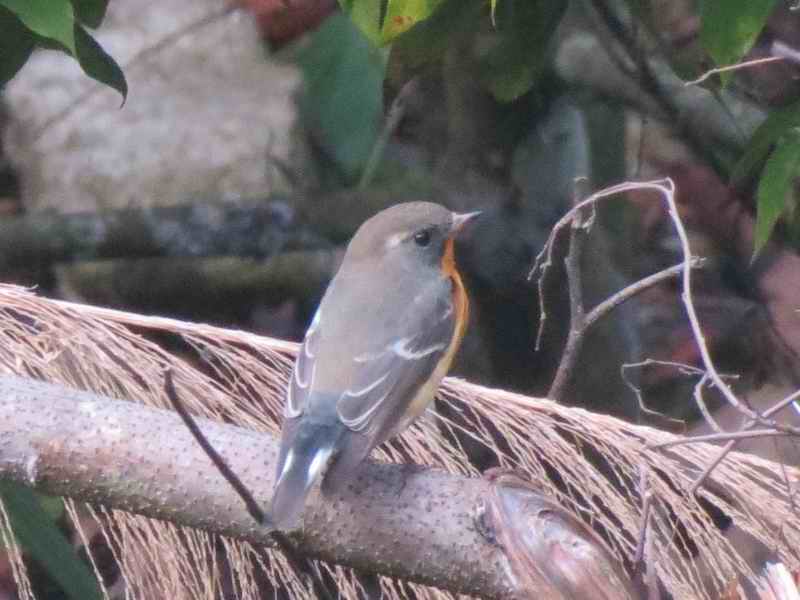 IMG_3990.jpg