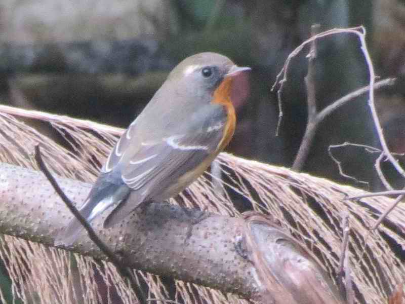 IMG_3988.jpg