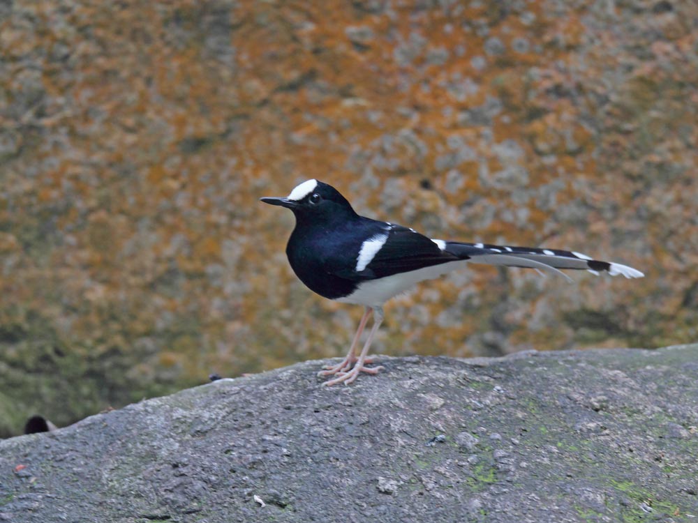 DPP_05951-1.jpg