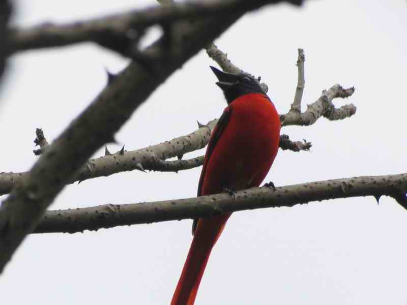IMG_4180.jpg