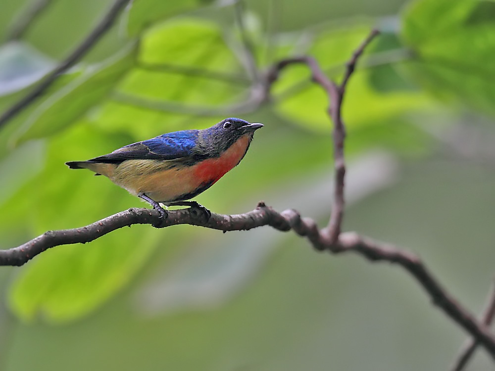 DPP_06149-1.jpg