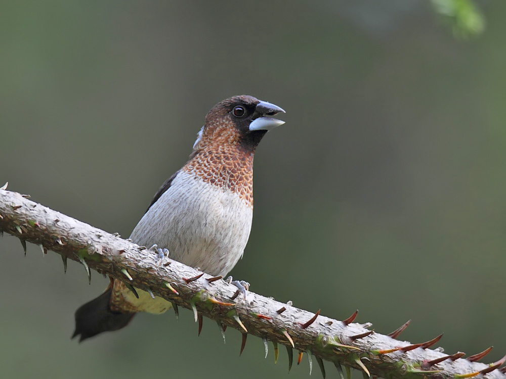 DPP_06190-1.jpg