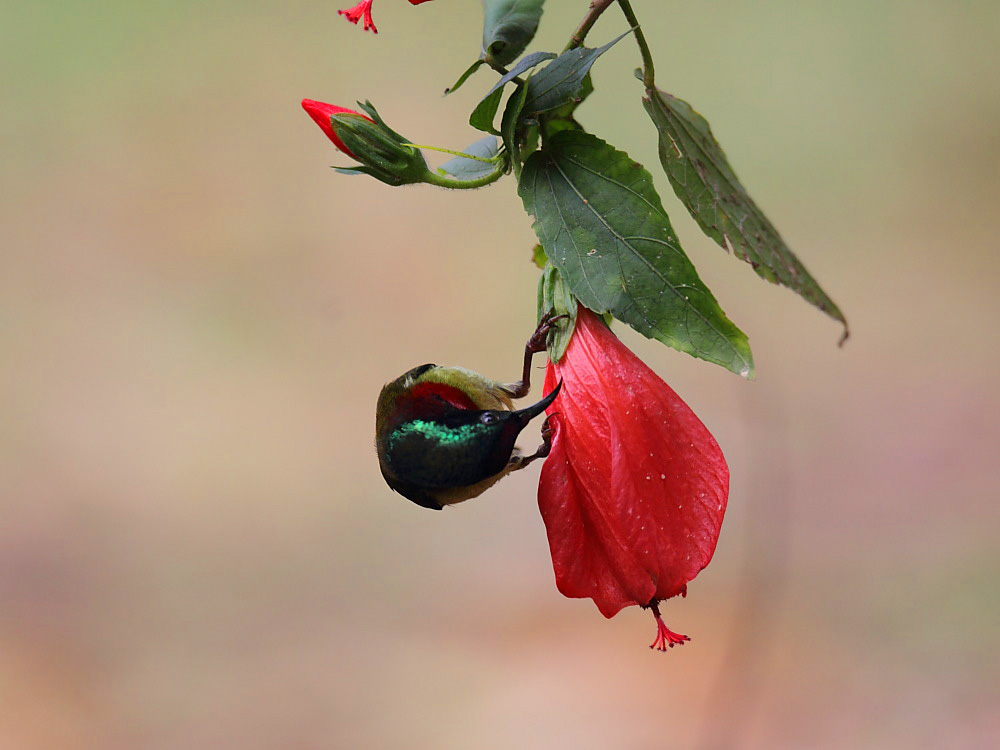 DPP_06191-1.jpg