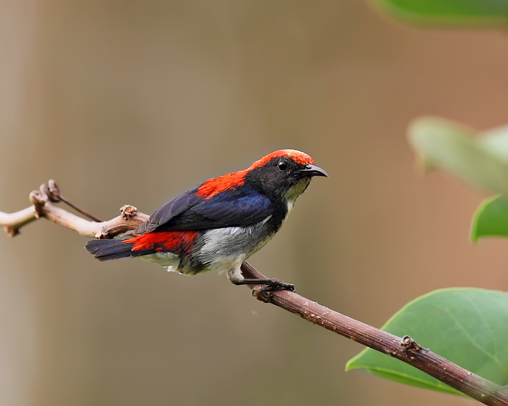 DPP_03886-1.jpg