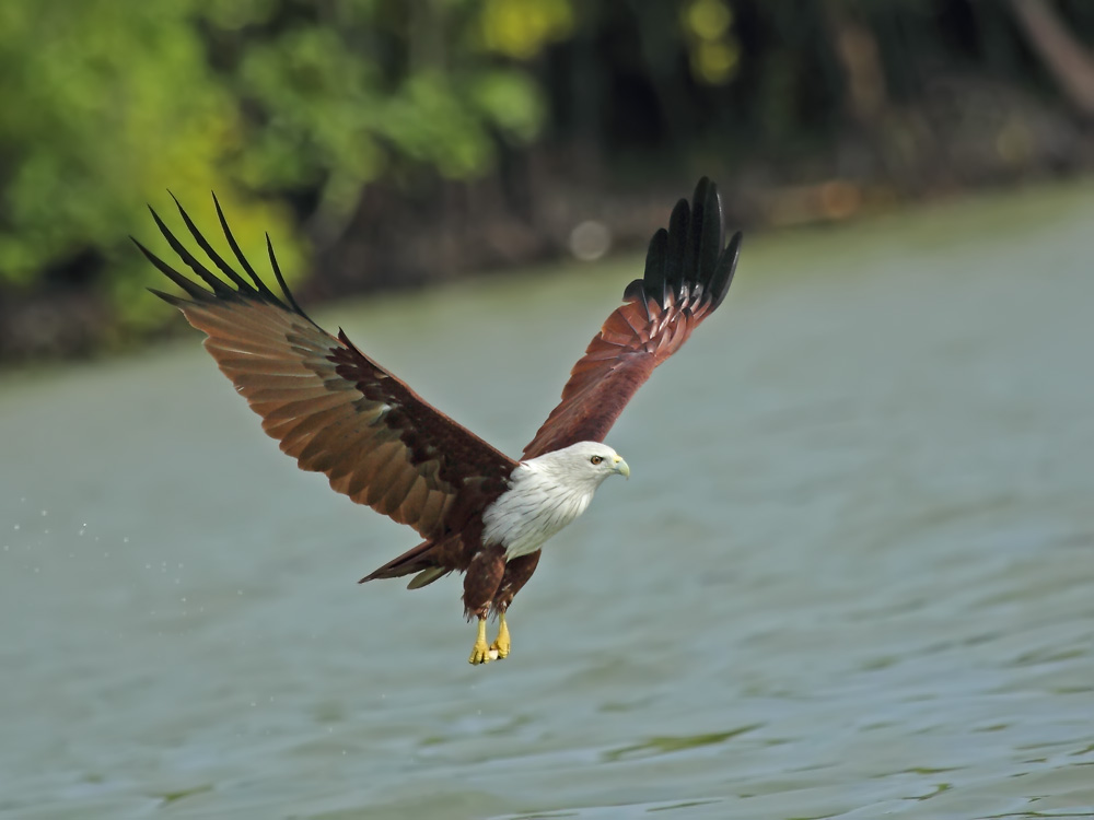 DPP_05934-2.jpg