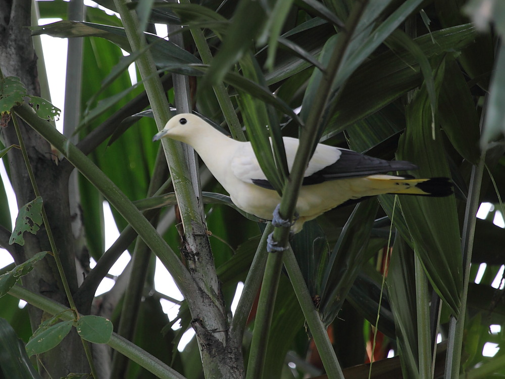 DPP_05837.JPG