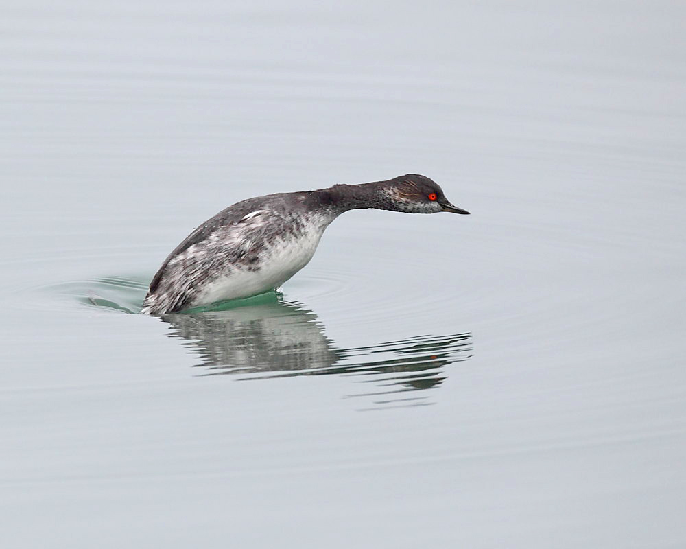 DPP_03377-1.jpg