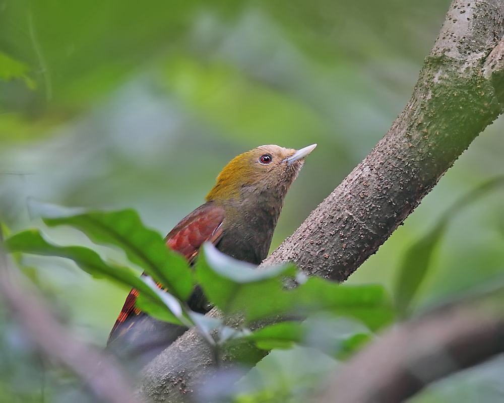 DPP_03271-2.jpg