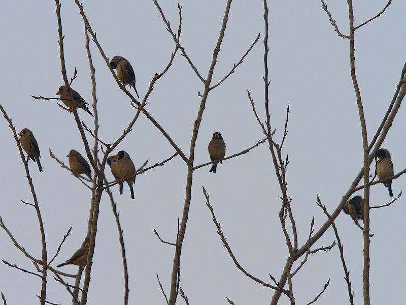 2012_12_08_0003a.jpg