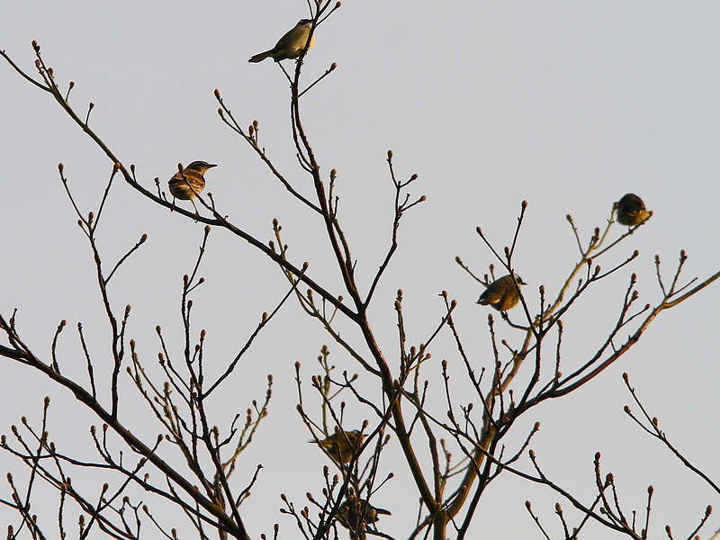 2012_12_08_0053a.jpg