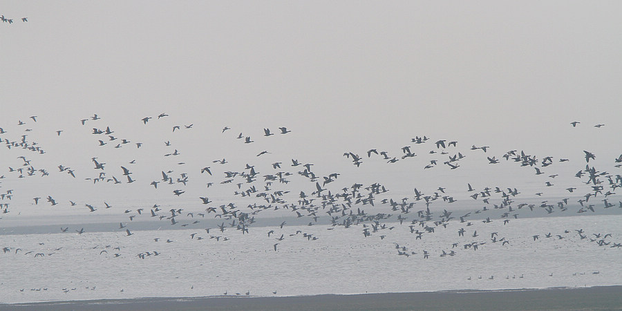 2012_12_08_0234a.jpg