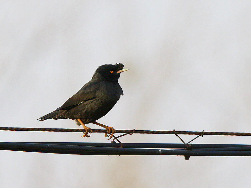 2012_12_08_0266a.jpg