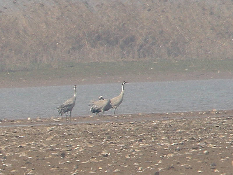 2012_12_08_0203a.jpg