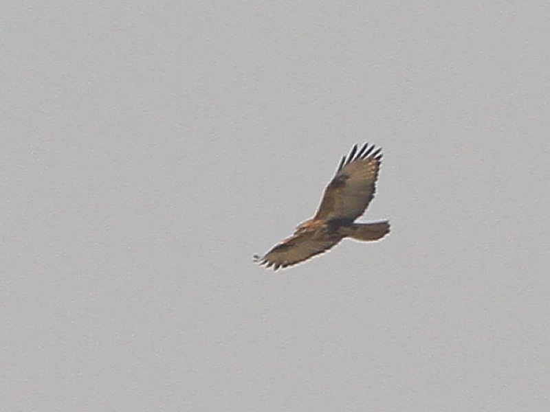 2012_12_08_0135a.jpg