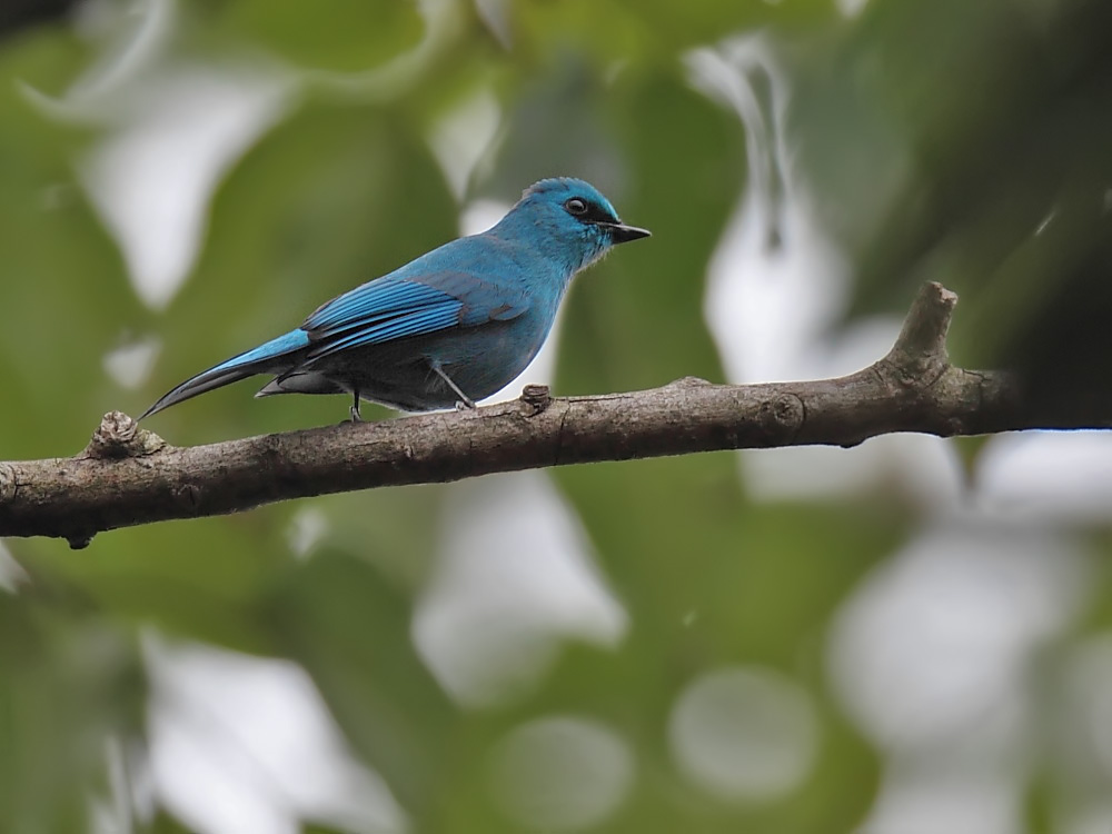 DPP_06318-1.jpg