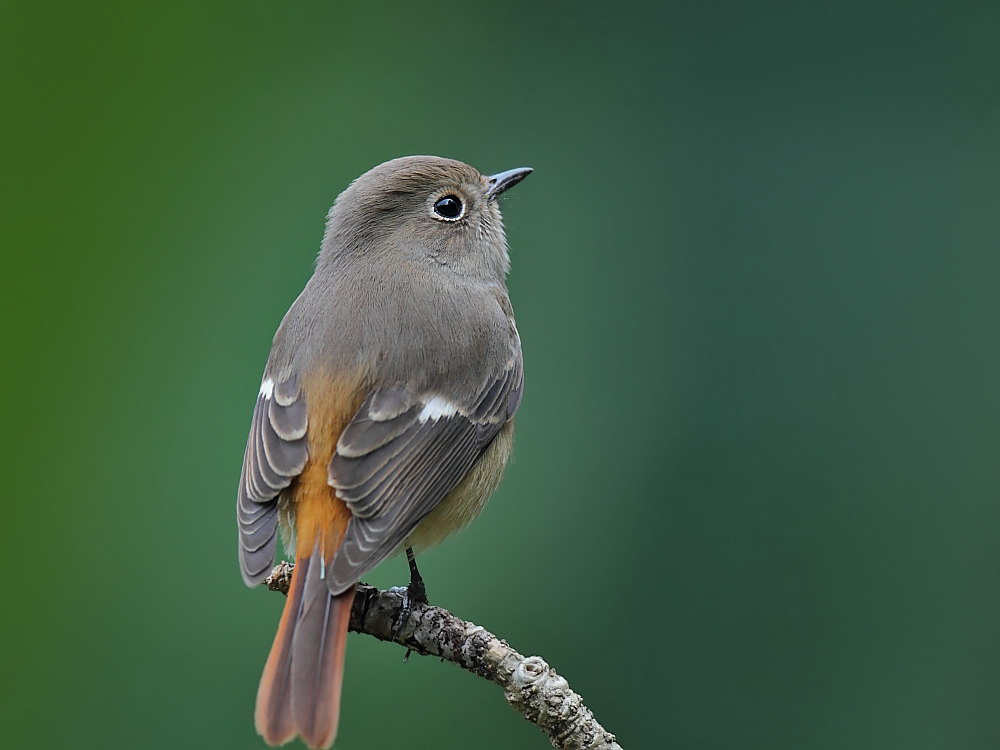DPP_06287-1.jpg