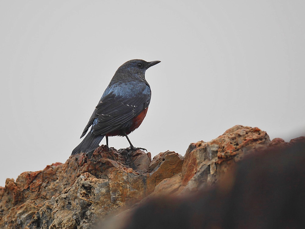 DPP_06305-1.jpg