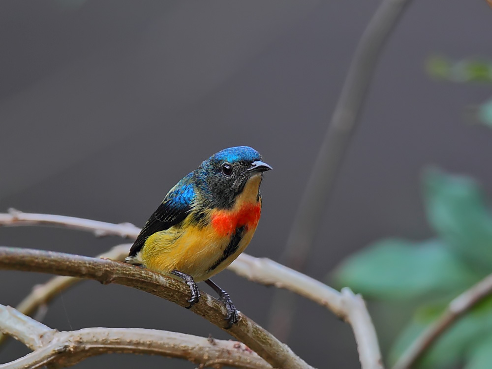 DPP_06320-1.jpg