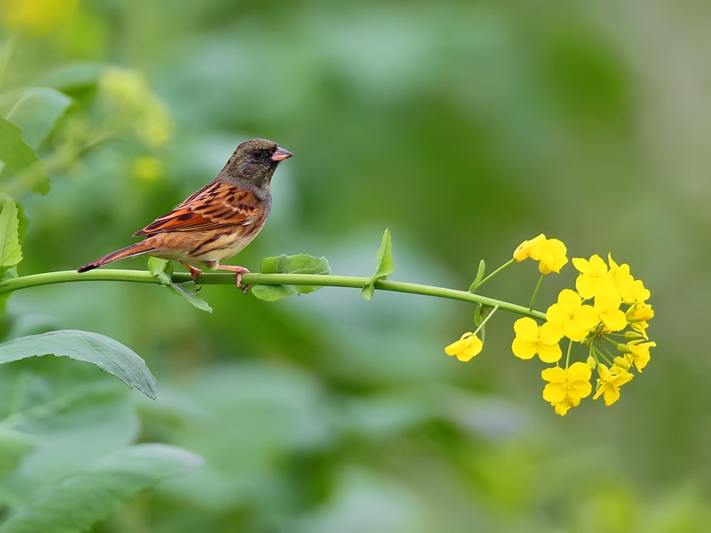 DPP_03898-1.jpg