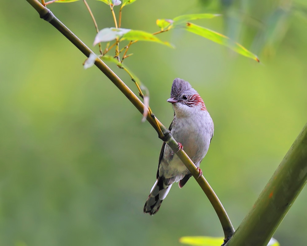 DPP_04204-5.jpg