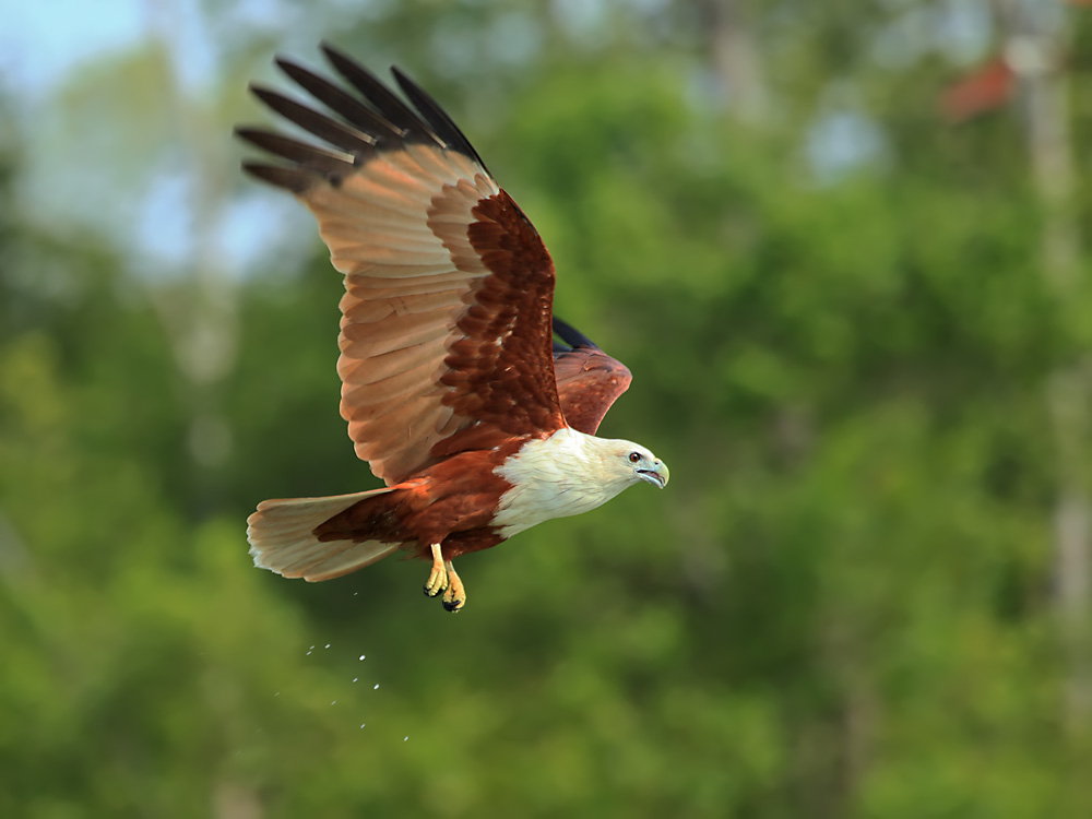 DPP_05918-2.jpg