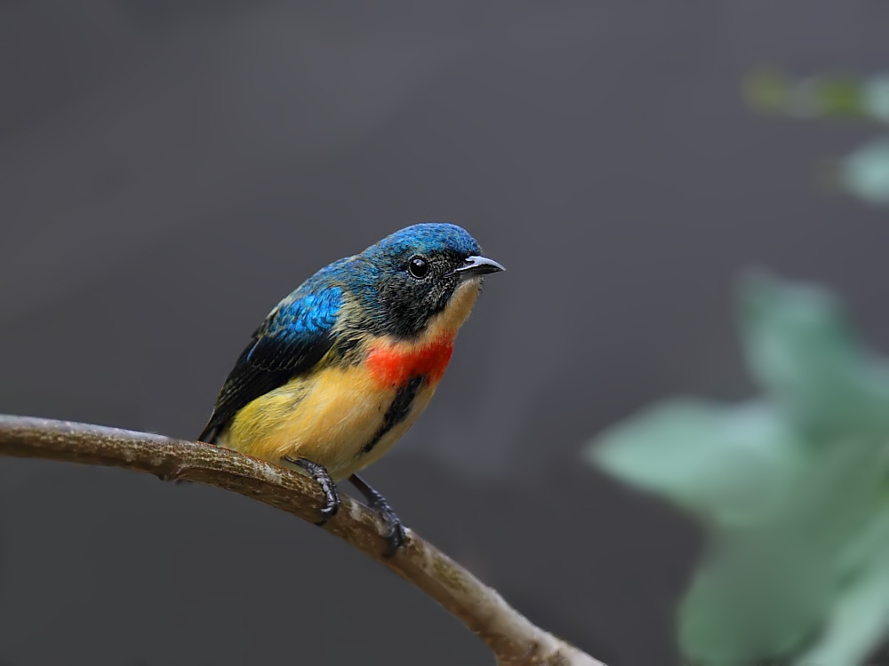 DPP_06324-2.jpg