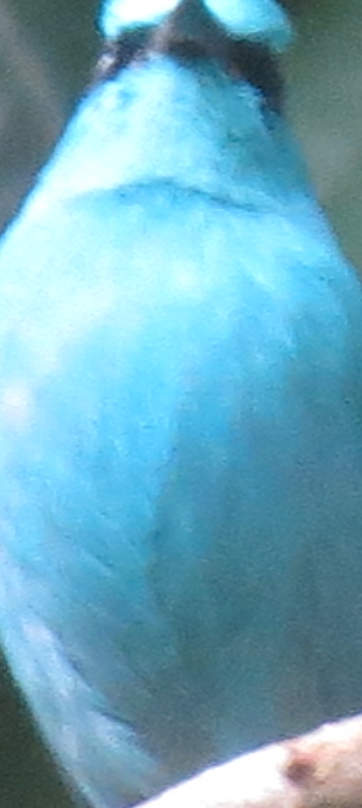 12.09 006_2345ͼ(1).jpg