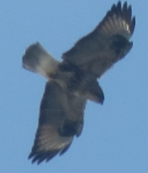 12.09 025_2345ͼ.jpg