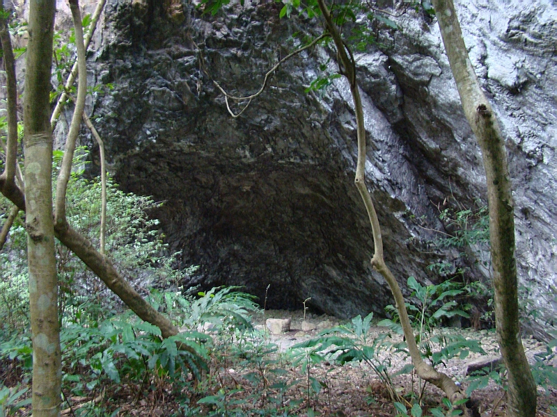 DSC07889.jpg