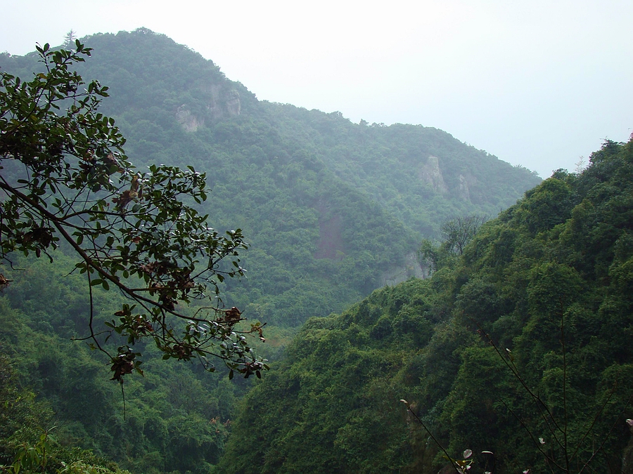 DSC07910.jpg