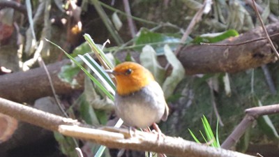 IMG_0829_.jpg
