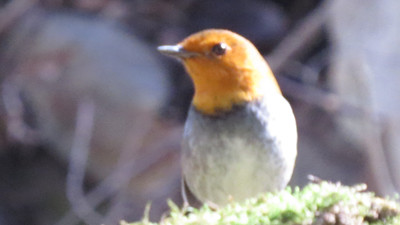 IMG_0793_.jpg