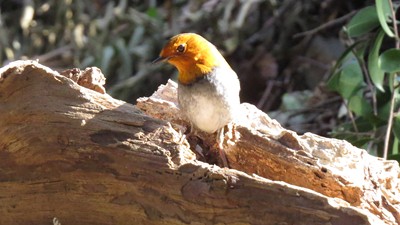 IMG_0804_.jpg