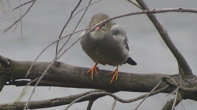 IMG_0566_.jpg