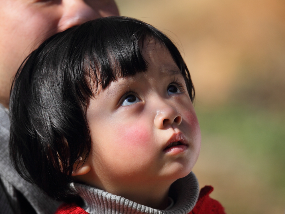 DPP_00183.JPG