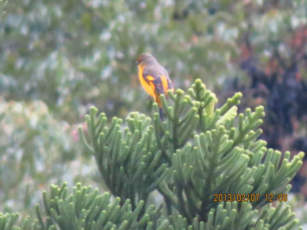 ǽ 021.jpg